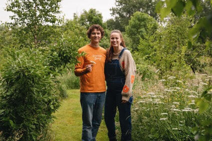 Moestuin Advies